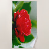 Morgengrauen rote Rose mit Taubstropfen Strandtuch (Vorderseite)