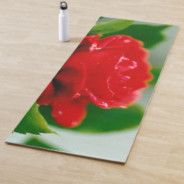Morgengrauen rote Rose mit Taubstropfen Yogamatte