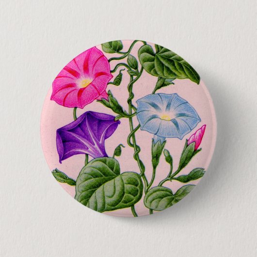 Morgenherrlichkeit in blau und rosa button (Vorderseite)