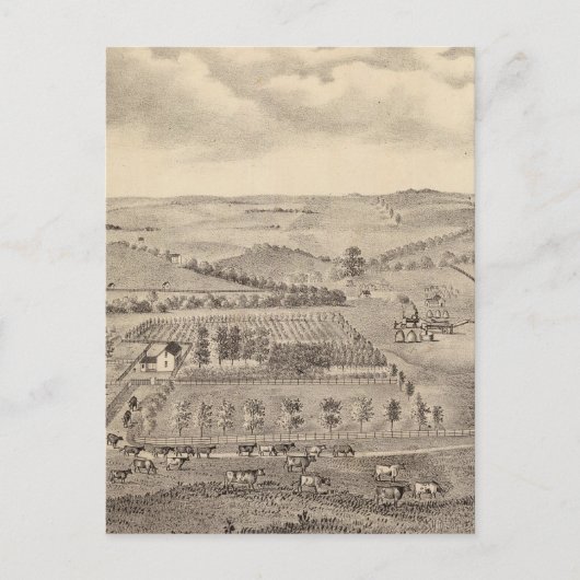 Morgenlandschaft, JD-Flüsse Postkarte (Vorderseite)
