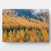 Morgenlicht am Strand | Insel Tybee Fotoplatte (Vorderseite)