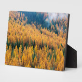 Morgenlicht am Strand | Insel Tybee Fotoplatte (Seite)