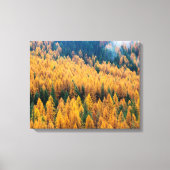 Morgenlicht am Strand | Insel Tybee Leinwanddruck (Vorderseite)