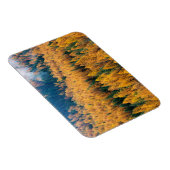 Morgenlicht am Strand | Insel Tybee Magnet (Rechte Seite)