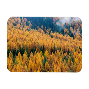 Morgenlicht am Strand Insel Tybee Magnet