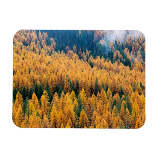 Morgenlicht am Strand | Insel Tybee Magnet (Horizontal)