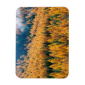 Morgenlicht am Strand | Insel Tybee Magnet (Vertikal)