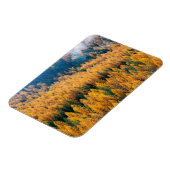 Morgenlicht am Strand | Insel Tybee Magnet (Linke Seite)