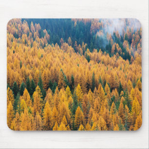 Morgenlicht am Strand Insel Tybee Mousepad