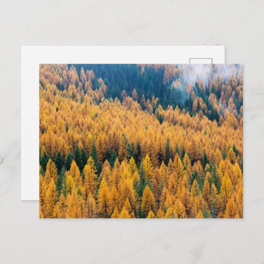 Morgenlicht am Strand | Insel Tybee Postkarte (Vorne/Hinten)