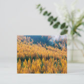 Morgenlicht am Strand | Insel Tybee Postkarte (Stehend Vorderseite)