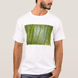 Morgenlicht, das durch Bambus fällt T-Shirt