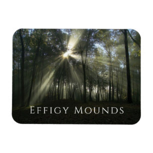 Morgenlicht durch Bäume, Effigy Mounds, Iowa Magnet