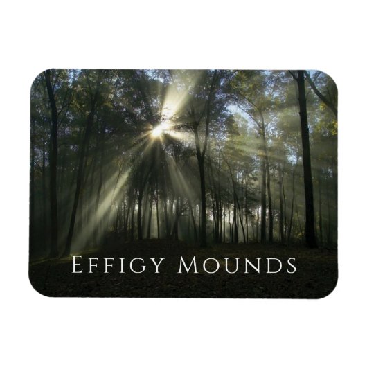 Morgenlicht durch Bäume, Effigy Mounds, Iowa Magnet (Horizontal)