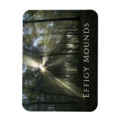 Morgenlicht durch Bäume, Effigy Mounds, Iowa Magnet (Vertikal)