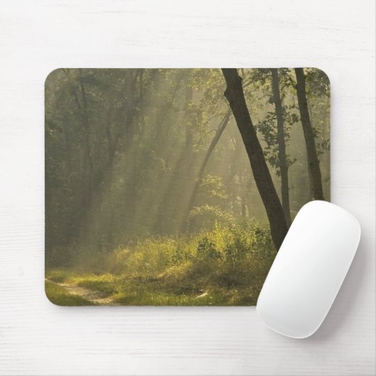 Morgenlicht durch Bäume im Dschungel Mousepad (Mit Mouse)