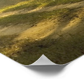 Morgenlicht durch Bäume im Dschungel Poster (Ecke)