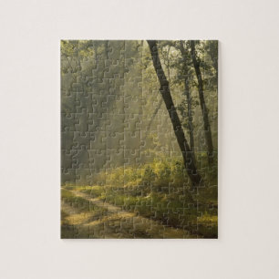 Morgenlicht durch Bäume im Dschungel Puzzle