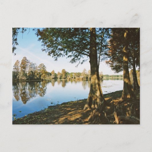 Morgenlicht Postkarte (Vorderseite)