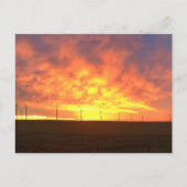 Morgenlicht Postkarte (Vorderseite)