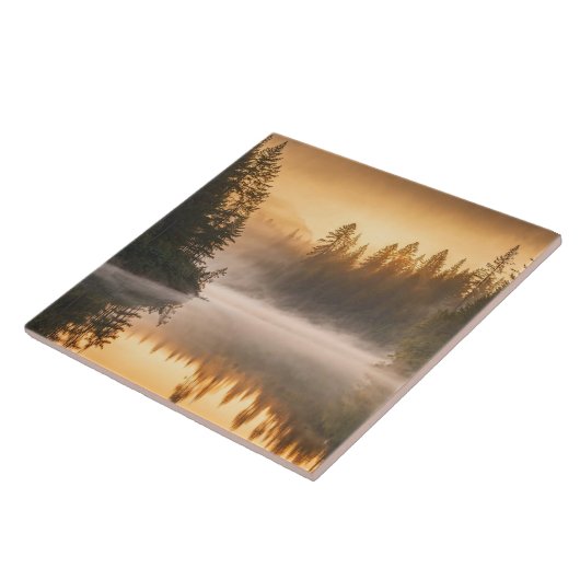 Morgennebel am Fluss in den Pinien Fliese (Seite)