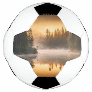 Morgennebel am Fluss in den Pinien Fußball