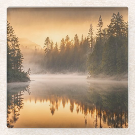 Morgennebel am Fluss in den Pinien Glasuntersetzer (Vorderseite)