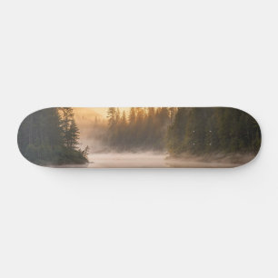 Morgennebel am Fluss in den Pinien Skateboard