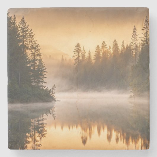 Morgennebel am Fluss in den Pinien Steinuntersetzer (Vorderseite)