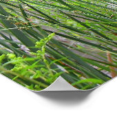 Morgennebel am Teich Poster (Ecke)