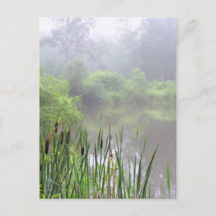 Morgennebel am Teich Postkarte