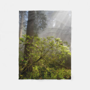 Morgennebel auf Rhododendron Fleecedecke