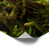 Morgennebel auf Rhododendron Poster (Ecke)