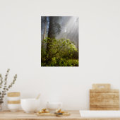 Morgennebel auf Rhododendron Poster (Küche)