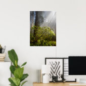 Morgennebel auf Rhododendron Poster (Heimbüro)