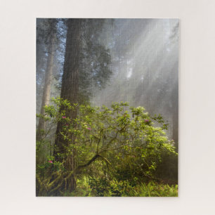 Morgennebel auf Rhododendron Puzzle
