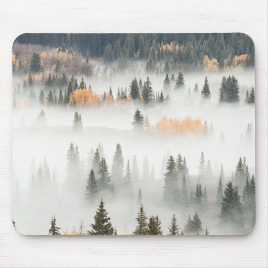 Morgennebel bedeckt Bergwald Mousepad (Vorne)
