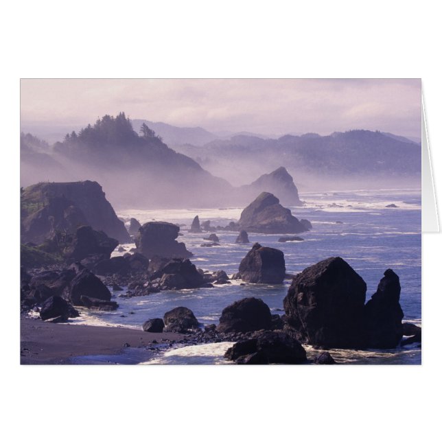 Morgennebel entlang der Küste von Oregon bei Nesik (Vorderseite (Horizontal))