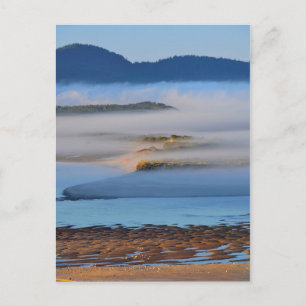 Morgennebel über Netarts Bay, OR Postkarte