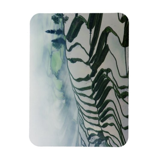 Morgennebel über Reisfeldern Magnet (Vertikal)