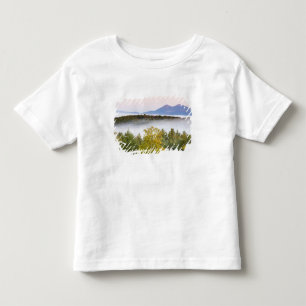 Morgennebel und die Percy Peaks, gesehen von der Kleinkind T-shirt