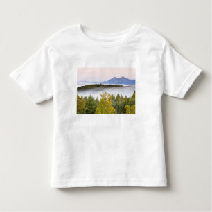 Morgennebel und die Percy Peaks, wie aus Sicht Kleinkind T-shirt