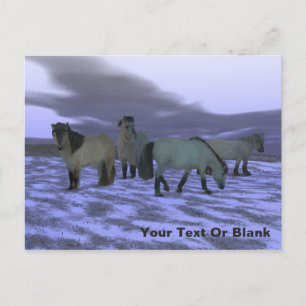 Morgenpferd Postkarte