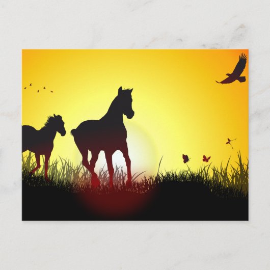 Morgenpferde Postkarte (Vorderseite)