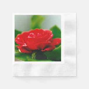 Morgenrote Rose bedeckt mit Tautropfen  Serviette