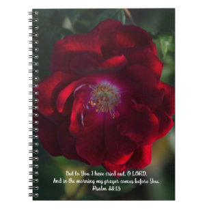 Morgenrote Rosen Bibelvers Gebetsjournal Notizblock