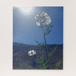 Morgenruhe: Cremeblüte in durchscheinendem Licht Puzzle