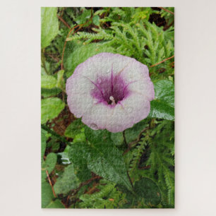 Morgenruhe: Rosa Blütenblätter mit sanftem Tau Puzzle