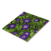 Morgenruhm in lila und grün fliese (Seite)