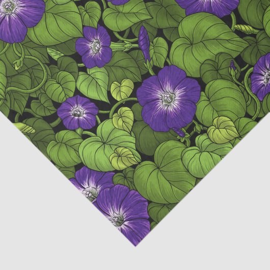 Morgenruhm in lila und grün seidenpapier (Ausschnitt)